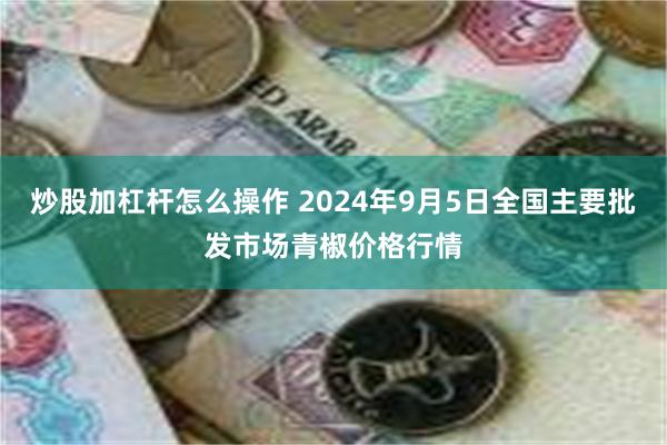 炒股加杠杆怎么操作 2024年9月5日全国主要批发市场青椒价格行情